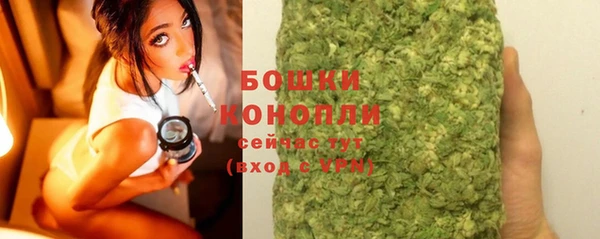 сатива Аркадак