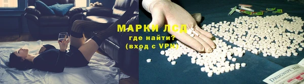 сатива Аркадак