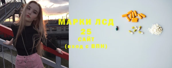 сатива Аркадак