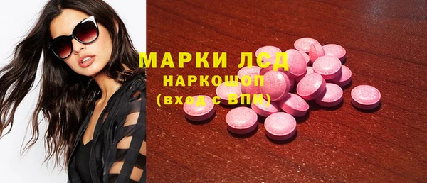 ГАЛЛЮЦИНОГЕННЫЕ ГРИБЫ Балахна
