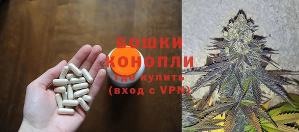 ГАЛЛЮЦИНОГЕННЫЕ ГРИБЫ Балахна